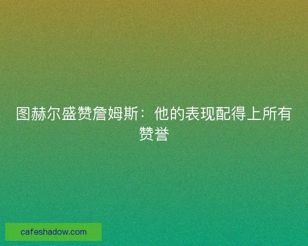 图赫尔盛赞詹姆斯：他的表现配得上所有赞誉